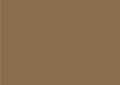 S104_Toffee_Brown
