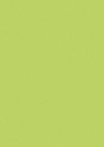 hi Macs colour light green