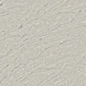 calacatta dream quartz