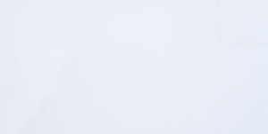 super white quartz colour